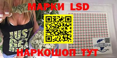 СК Обь