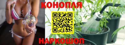 СК Обь