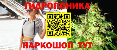 СК Обь
